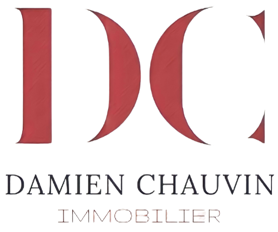 Damien Chauvin Logo